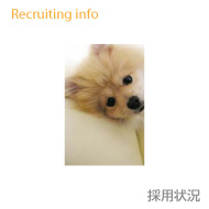 採用情報